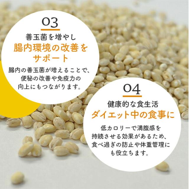 特選押麦　5kg×5〔チャック付〕／国産 宅配便 送料無料 チャック付 国産 特選 大麦 食物繊維 βグルカン こわけや_5