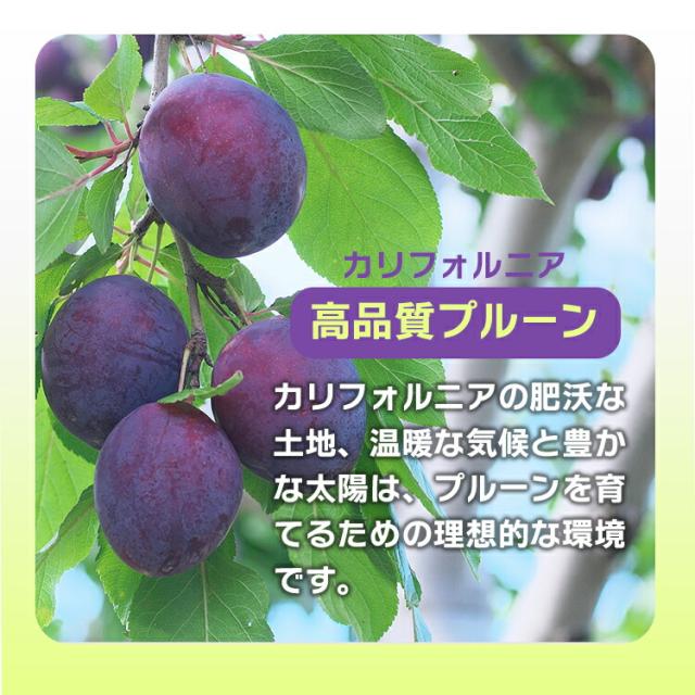 正栄食品工業 種抜きプルーン1kg×20袋(計20kg)／チャック付袋 ソルビン