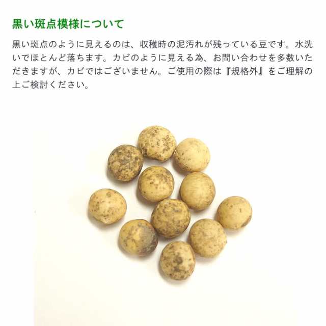 大分県産大豆《規格外・大粒》500g〔チャック付〕／メール便 送料無料 チャック付 大豆 大粒 ふくゆたか 食物繊維 機能性成分 乾燥豆  豆の通販はau PAY マーケット - こわけや