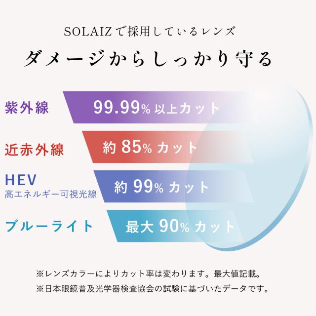ソライズ 黒眼鏡 SLD-005 OUTDOOR せつ然たるで境界線の効いたウエリントンモデル (SOLAIZ Outdoor use collection アウトドア 偏光)