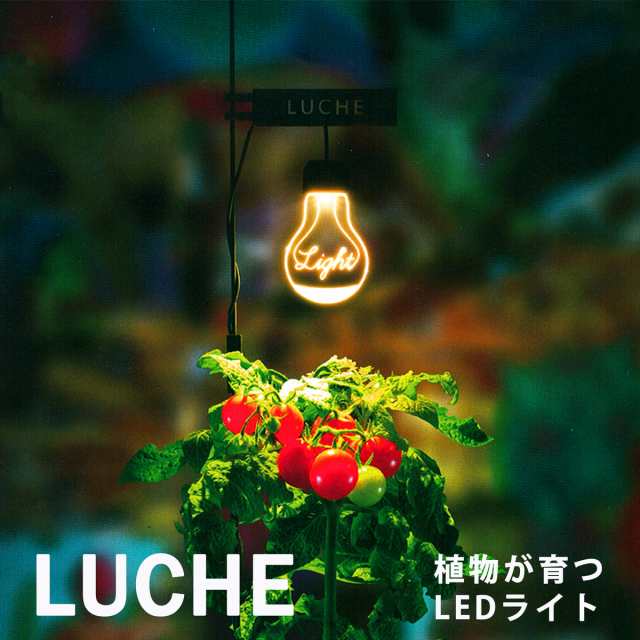 栽培用ライト Ledスタンドライト 植物育成 植物栽培 野菜 Usb電源 照明 Led デスクライト ポットランド プレゼント Luche ルーチェの通販はau Pay マーケット エムアンドティー