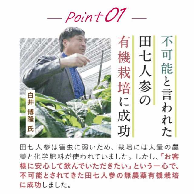 田七人参 白井田七 伝七人参 高麗人参 田七杜仲精 朝鮮人参 白井伝七 三七人参 こうねんき サポニン 有機 120粒入り 和漢の森