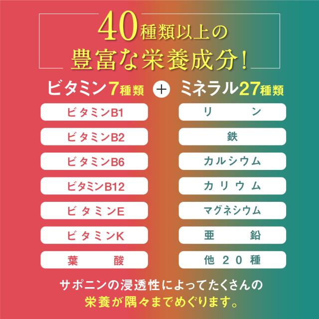 白井田七 240粒瓶タイプ 和漢の森 サプリメント 田七人参 高麗人参 サポニン 有機 汗 白井田七人参 伝七人参 サプリ_9