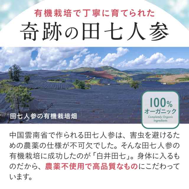 田七人参 高麗人参 白井田七 240粒入り 和漢の森 サポニン 有機 更年期 ...