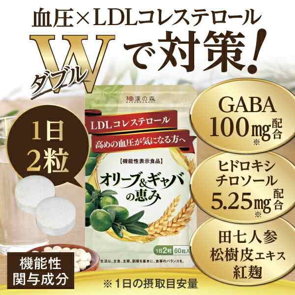 漢方セレクト 和漢の森 オリーブ ギャバ 60粒 3袋 - その他