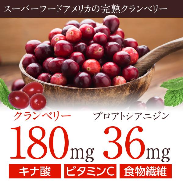 大豆イソフラボン サプリメント 60粒入り 和漢の森 田七人参 アグリコン型 エクオール サプリ 女性 更年期 エストロゲン 大豆ペプチド の通販はau Pay マーケット 和漢の森 Au Pay マーケット店