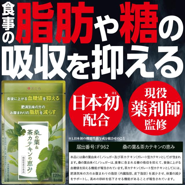 桑の葉 & 茶カテキンの恵み 120粒入 ×2点 3袋