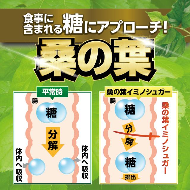 漢方セレクト 桑の葉&茶カテキンの恵み 120粒 5パックセット