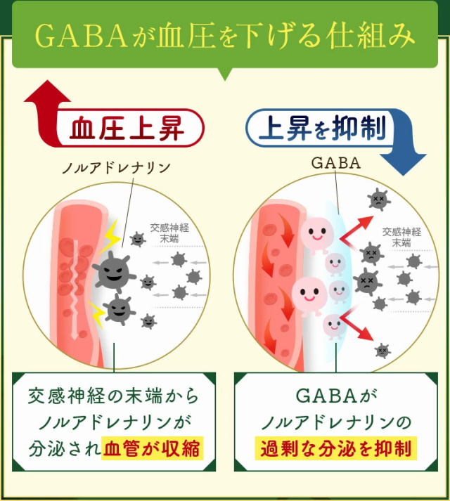 血圧 コレステロール ギャバ ストレス サプリ 食べ物 オリーブ 下げる 60粒 和漢の森 高 めの 血圧 サプリメント LDLコレステロール 悪玉の通販はau  PAY マーケット - 和漢の森 au PAY マーケット店