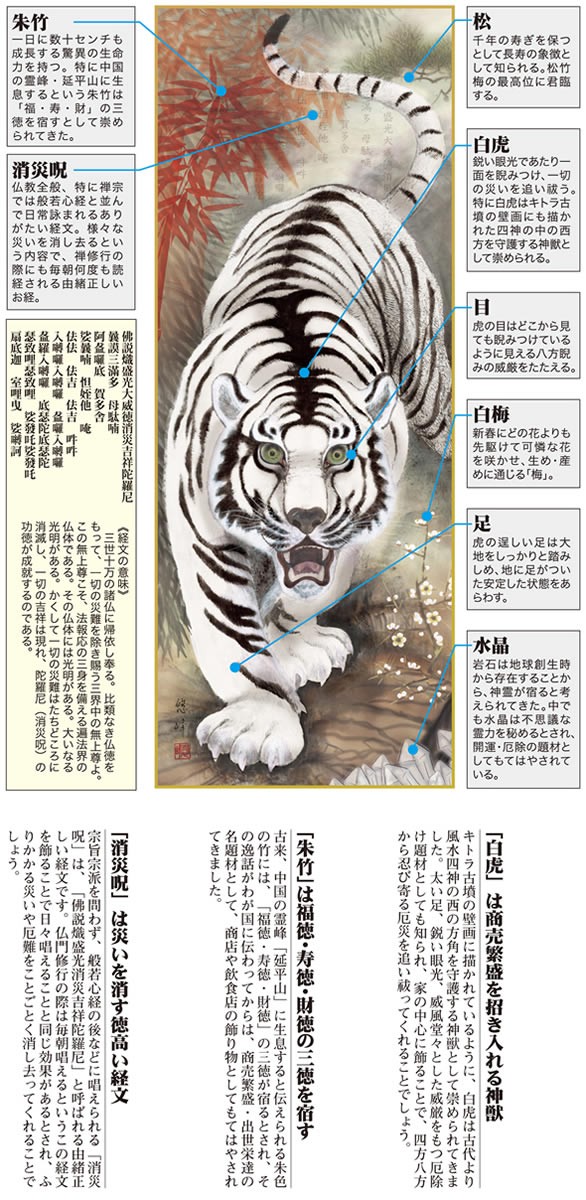 21春夏新色 掛軸 消災白虎朱竹之図尺五ｄ5 019桐箱加納悠峰 掛軸 Www Silianamusic Com