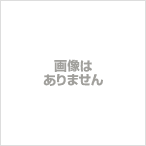 F6】日本の名画額 五月鯉（さつきごい） 川端龍子 モダンアート 