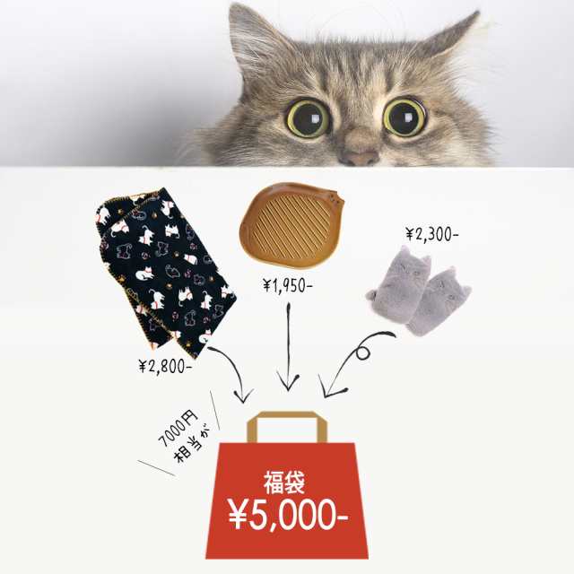 福袋 21年 先取り 猫だらけ レディース キッズ 猫好き 3点セット 手袋 ブランケット かわいい 大判 トースト プレート 雑貨 お正月 新の通販はau Pay マーケット Happyストアー