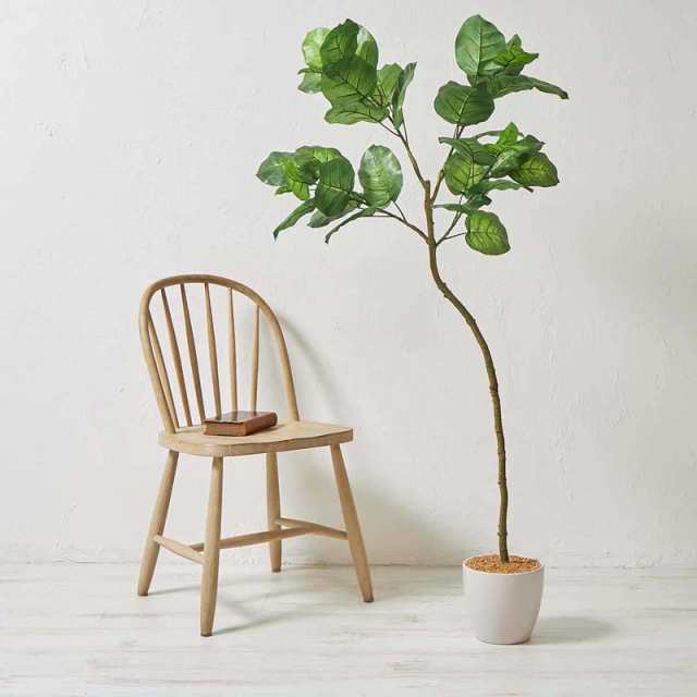 フェイクグリーン 観葉植物 約150cm ウンベラータツリー 光触媒加工 消臭 抗菌 銀チタン 水遣り不要 枯れない インテリア 樹木 造花 室内の通販は