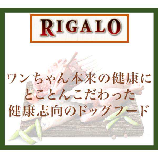 リガロ Rigalo ハイプロテイン ターキー 1 8kg ドッグフード ドライ 犬 送料無料の通販はau Pay マーケット 京一屋ホームセンター ペット Au Pay マーケット店