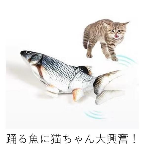 猫 おもちゃ 魚おもちゃ 電動 動く ダンシングフィッシュ 本体 ねこ ネコ 貝沼産業 送料無料の通販はau Pay マーケット 京一屋ホームセンター ペット Au Pay マーケット店