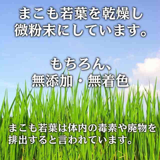 まこも パウダー 100g 国産 無添加 真菰 若葉 マコモタケ マコモダケ