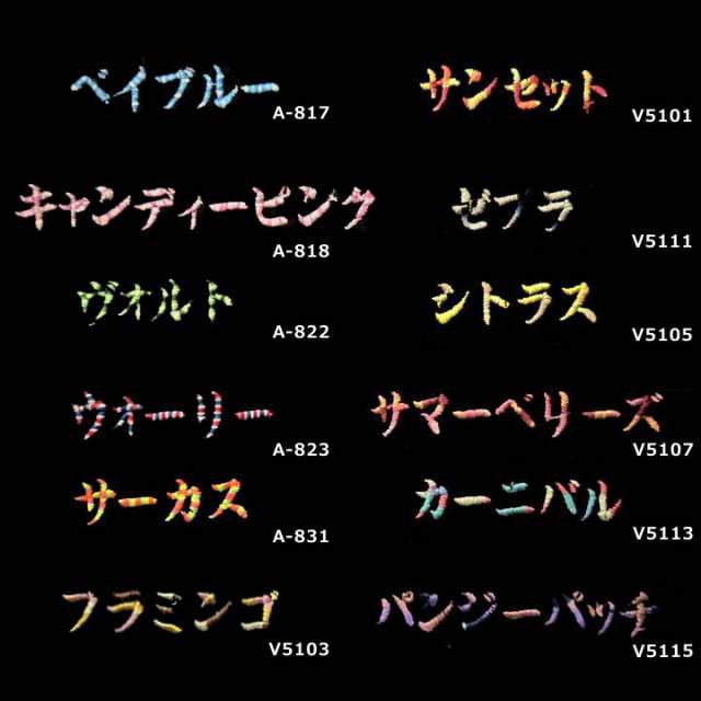 刺繍サービス 勝色コレクション】 ミズノプロ 野球 軟式グラブ 軟式用