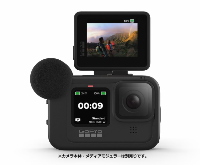 ゴープロ GoPro AJLCD-001-AS [ディスプレイモジュラー]【新品・正規品】