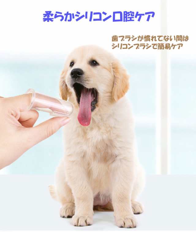 ペット 指 歯ブラシ 5個セット シリコン ソフト 口腔ケア 歯磨き 犬 猫 小型犬 中型犬 大型犬 歯周病 予防 クリーニング ハブラシ 歯茎