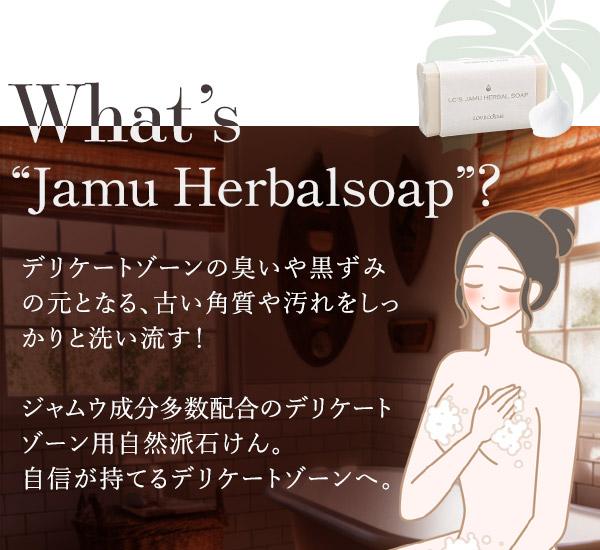 2点セット 】ジャムウ ハーバルソープ ＆ デリケートパック [ 黒ずみ