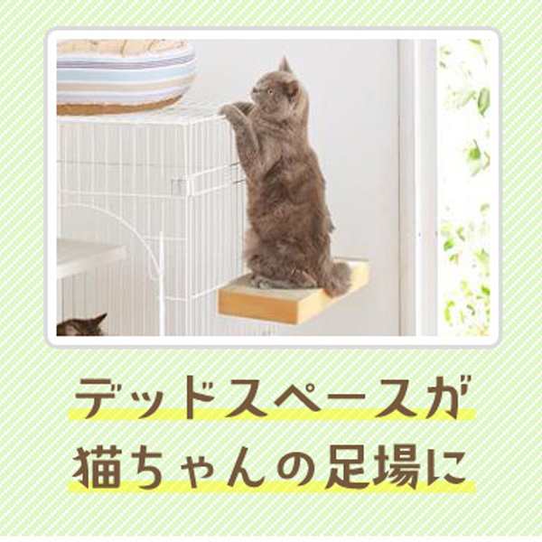 ケージ用ステップ コーナー ケージは別売りです 猫 ケージ用ステップ 小猫 仔猫 シニア猫 短足猫 ゲージ 階段 取付簡単 ダンボールの通販はau Pay マーケット Peppy ペピイ