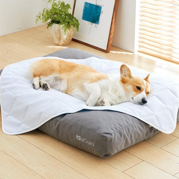 超クール プレイマット ｓ 犬 猫 ペット マット 夏用 クール ひんやり 暑さ対策 熱中症対策 Peppy ペピイの通販はau Pay マーケット Peppy ペピイ