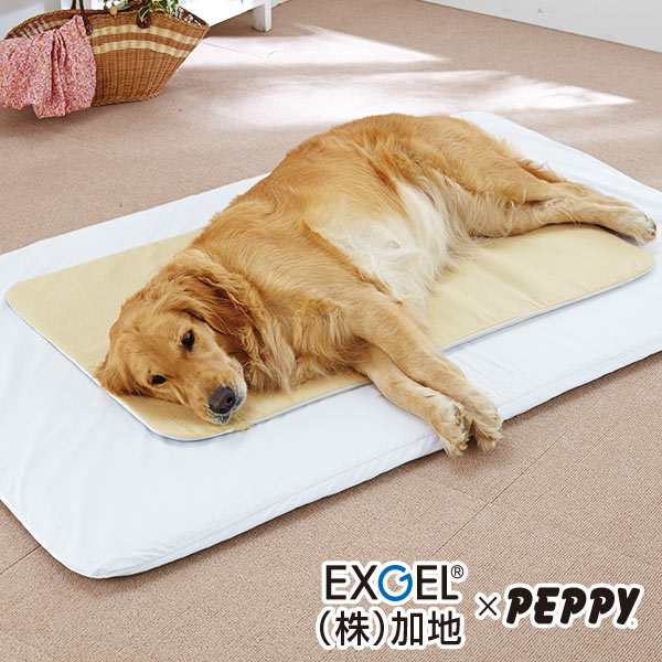 エクスジェルマット M 50 60cm 犬 介護ベッド 国産 ペピイオリジナルの通販はau Pay マーケット Peppy ペピイ