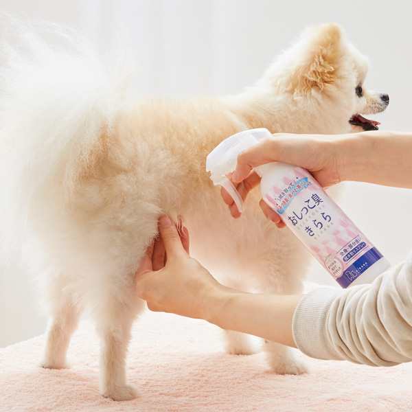 おしっこ臭きらら ふき取りスプレー 300ml 消臭 ニオイ 犬 猫 ペット ペピイオリジナル 17秋冬の通販はau Pay マーケット Peppy ペピイ