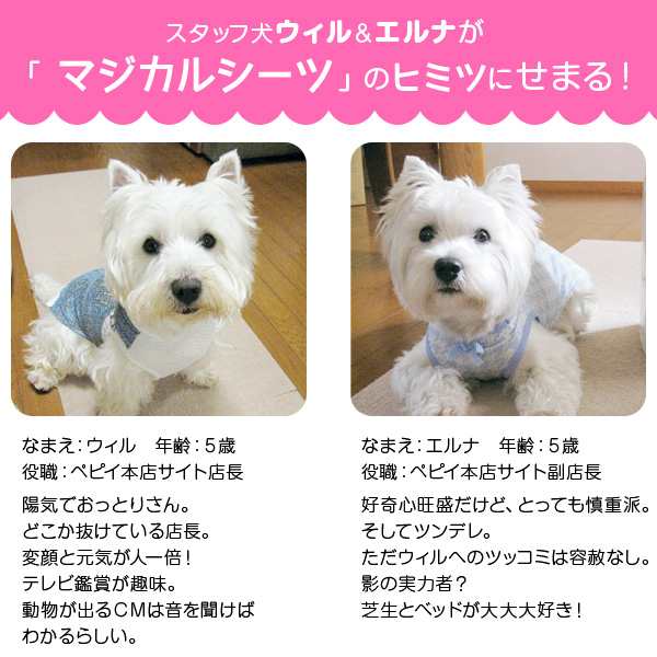 マジカルシーツ 中厚型 レギュラー 102枚 1個 ペットシーツ 国産 トイレシート 犬 猫 消臭 吸収 日本産 Peppy ペピイの通販はau Pay マーケット Peppy ペピイ