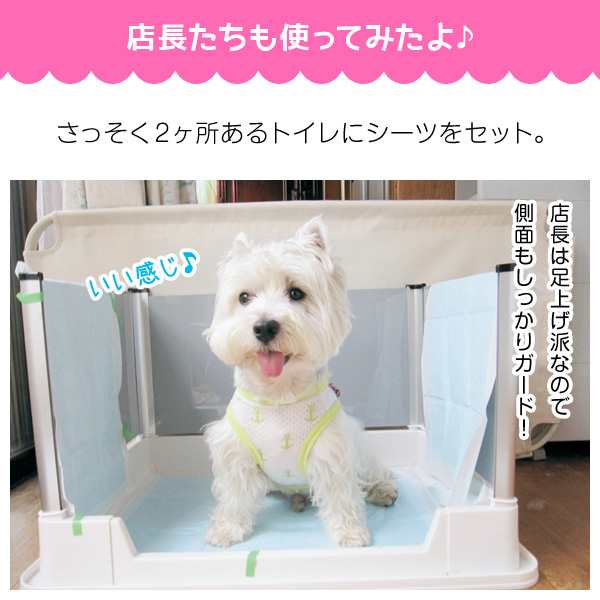 マジカルシーツ 中厚型 ワイド 52枚 1個 ペットシーツ 国産 トイレシート 犬 猫 消臭 吸収 日本産 Peppy ペピイの通販はau Pay マーケット Peppy ペピイ