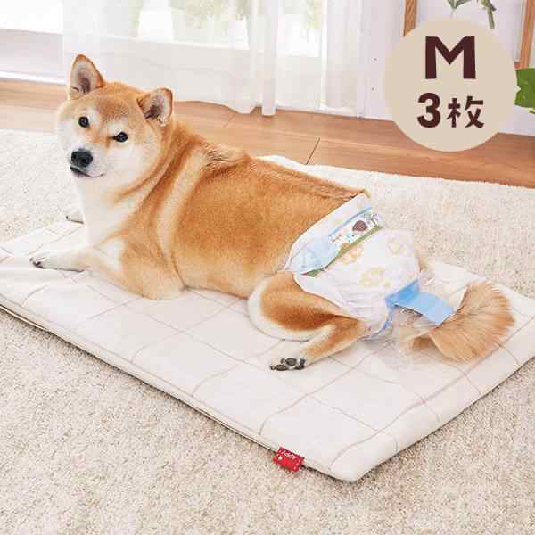 うんぽパンツ ｍ 3枚 犬 おむつ 介護 おもらし シニア犬 老犬 トイレ補助 トイレトレーニング お留守番 ペット ペピイ Peppyの通販はau Pay マーケット Peppy ペピイ