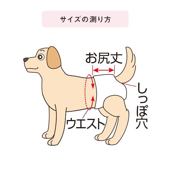 うんぽパンツ ｍ 3枚 犬 おむつ 介護 おもらし シニア犬 老犬 トイレ補助 トイレトレーニング お留守番 ペット ペピイ Peppyの通販はau Pay マーケット Peppy ペピイ