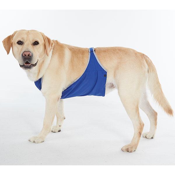 泥よけエプロン ｍ 犬 レインコート かっぱ 散歩 梅雨 泥 雪 はっ水 汚れ防止 いぬ ペット ペピイ Peppyの通販はau Pay マーケット Peppy ペピイ