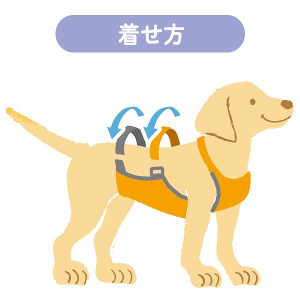 泥よけエプロン ｍ 犬 レインコート かっぱ 散歩 梅雨 泥 雪 はっ水 汚れ防止 いぬ ペット ペピイ Peppyの通販はau Pay マーケット Peppy ペピイ