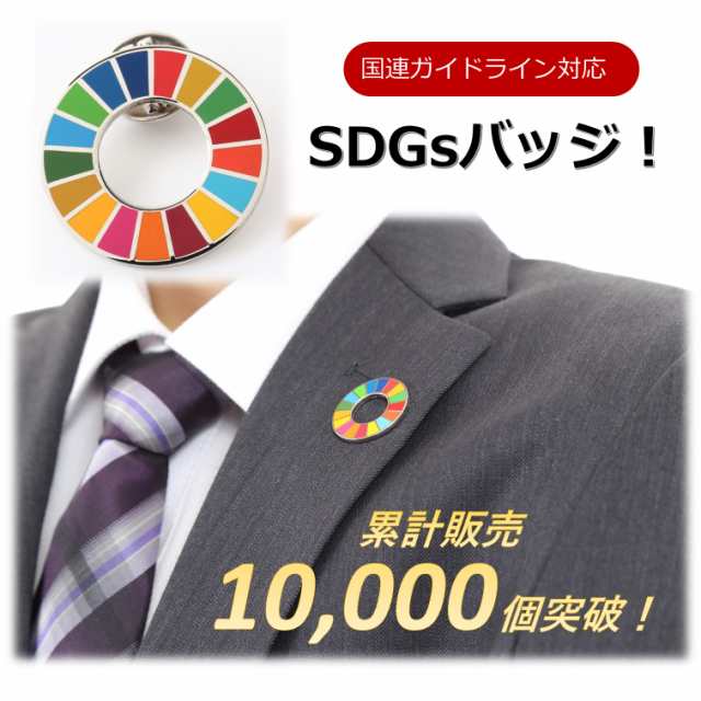 国連本部限定販売 SDGs ピンバッジ 日本未発売 UNDP （丸みタイプ5個）の通販はau PAY マーケット Waku Waku Shop  au PAY マーケット－通販サイト