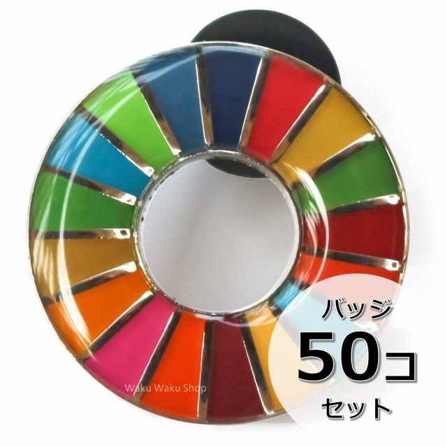 国連本部限定販売 SDGs ピンバッジ 日本未発売 UNDP （丸みタイプ50個