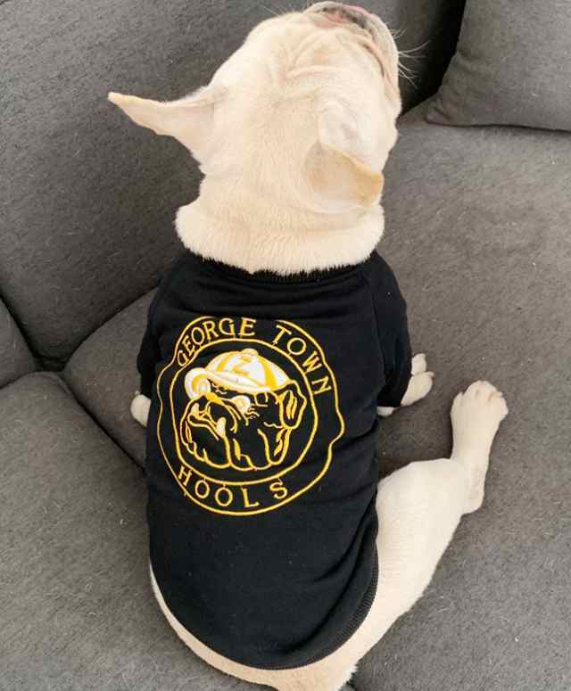 スウェット レディース ドッグウェア ペア ２枚セット ペアルック トレーナー ｔシャツ トップス おそろい ペット 犬服 長袖 韓国の通販はau Pay マーケット 婦人服とペット用品 チロルペットストア