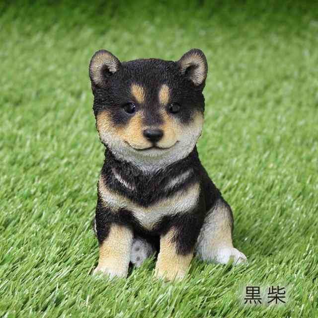 黒柴 こども 置物 かわいい 可愛い インテリア オブジェ いね アニマル 犬 イヌ グッズ リアル オシャレ シバ犬の通販はau Pay マーケット クロスゲート