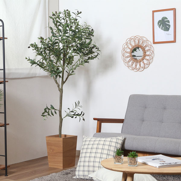 人工観葉植物 フェイクグリーン オリーブ 150cm 観葉植物 造花 鉢付き インテリア おしゃれ グリーンイミテーション おしゃれ 送料無料 6,944円