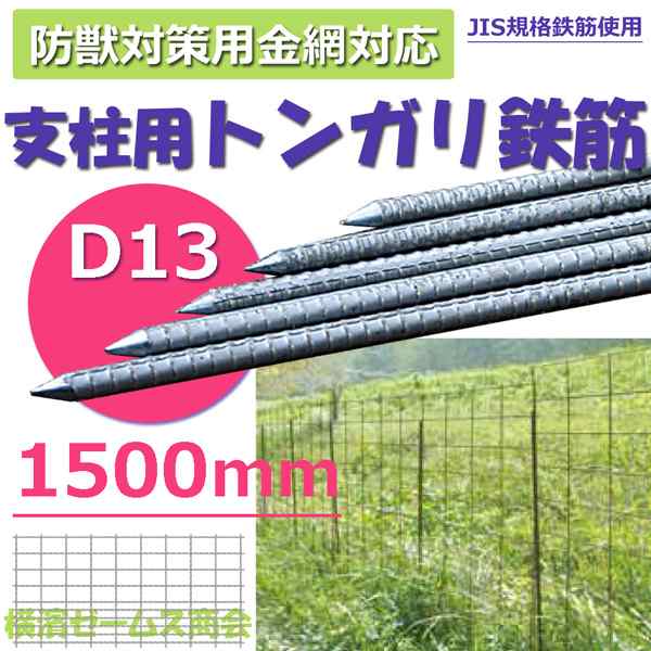 最安値級価格 【全国定#297#68#40キ3101121-8W2】防獣用トンガリ鉄筋支柱 全国納入送料別途 支柱別売 ドブメッキ  D13m/m径太さ1500m/m長さ 100本組 - 防除ネット - hlt.no