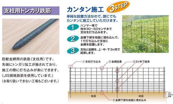 今日の超目玉】 【全国定#297#68#40キ3101121-5W1】防獣用トンガリ鉄筋支柱 全国納入送料別途 支柱別売 ドブメッキ  D16m/m径太さ1500m/m長さ 100本組 - 防除ネット - hlt.no