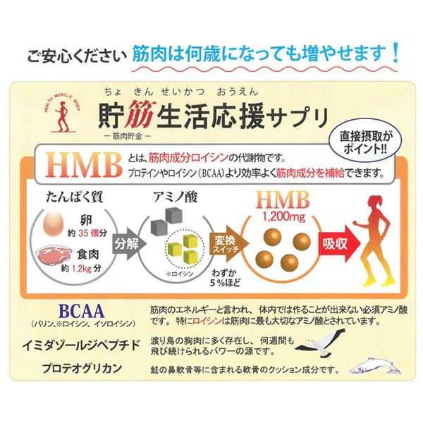 BCAA HMB セット BCAA HMB セット