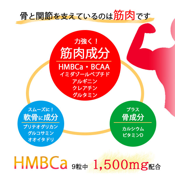 アミノネクストHMB 3個セット BCAA 筋肉 筋肉減少 バリン ロイシン イソロイシン イミダゾールペプチド プリテオグリカン オオイタドリ 軟骨 カルシウム ビタミン 中高年 運動 健康食品 スポーツ乳酸菌 ギフト サプリ サプリメント 食事で不足_2