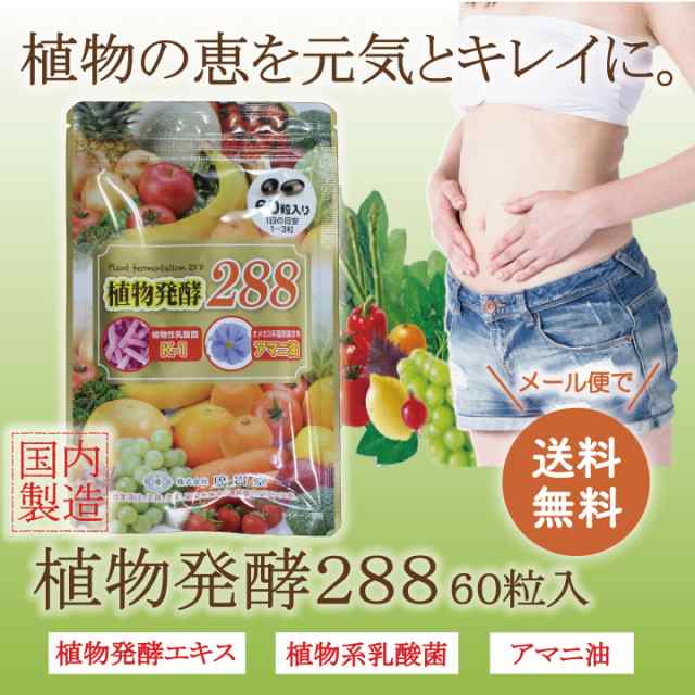 メール便送料無料 広貫堂 植物発酵2 フルーツ 植物発酵エキス 植物性乳酸菌 アマニ油 酵素サプリメント 酵素ダイエット サプリ ダの通販はau Pay マーケット とやまの薬 和漢薬