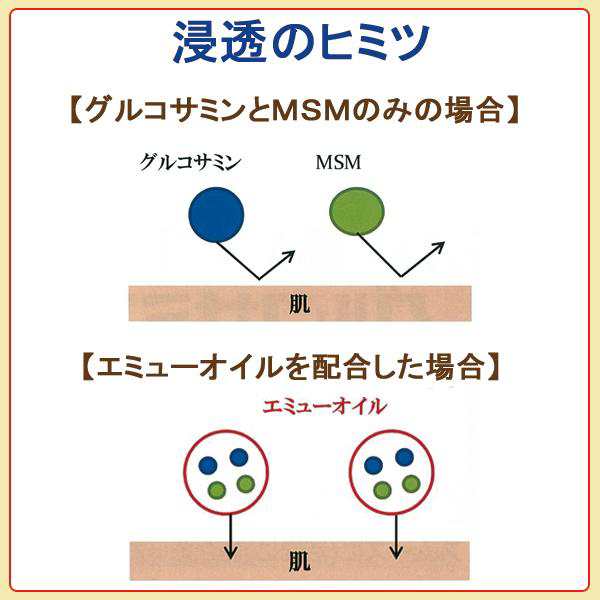 野口医学研究所 グルコサミンダイレクト 85g 2個セット | 塗る