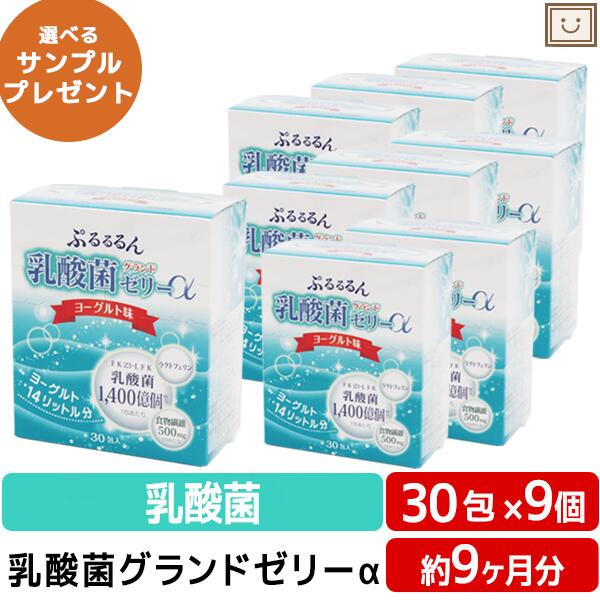 乳酸菌グランドゼリーα 30包 9個セット | 広栄ケミカル 乳酸菌 人由来 ラクトフェリン ビタミン 低カロリー ゼリー サプリ LFK 健康 ビューティー サプリ 男性 女性 美容 メンズ レディース 父の日 健康食品 父の日ギフト 健康食品 サプリ サプリメント 食事で不足