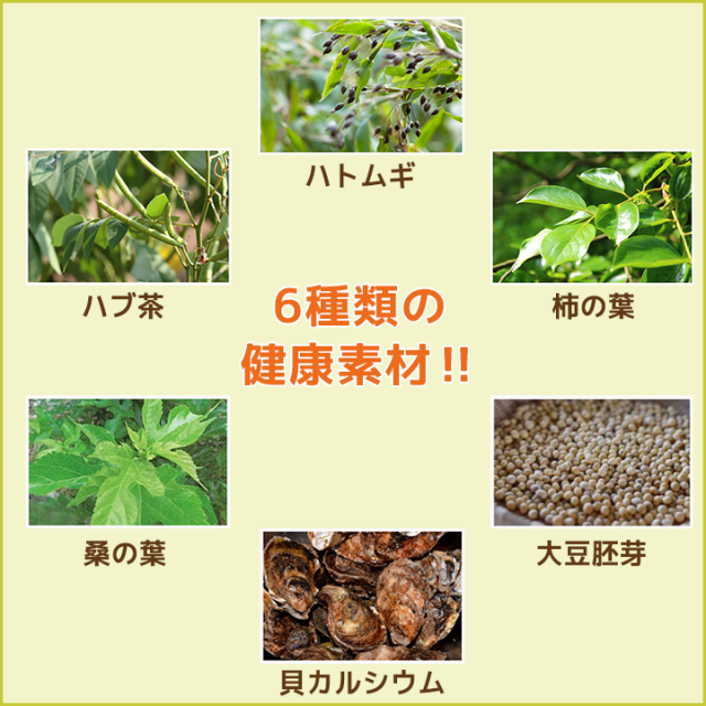 冷やしむぎ茶 ティーバッグ10g 96包 12個セット | ハトムギ ハブ茶 柿葉 貝カルシウム 大豆胚芽 桑の葉 麦茶 カルシウム おちゃ お茶パック 健康茶 はとむぎ はと麦 柿の葉 桑葉 健康 ティーパック 父の日 健康食品 父の日ギフト 健康食品 遠足 食事で不足 運動会_2
