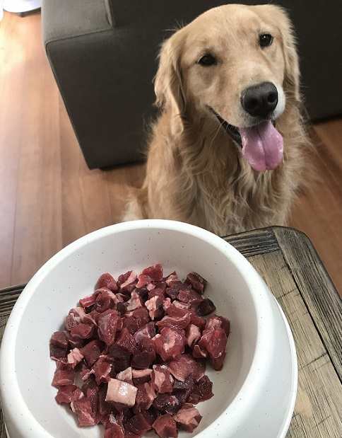 特別セール中 犬用 生肉 鹿肉 サイコロカット 1kg 鮮度抜群の犬用鹿肉 ペットフード ペット 犬 生肉 ドッグフードの通販はau Pay マーケット Miyudora Pet