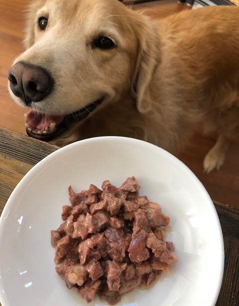 犬 馬肉 馬肉 サイコロカットのレトルト １００ｇ 美味しさ抜群 愛犬の馬肉デビューに最適 犬のご飯 ドッグフード ペットフーの通販はau Pay マーケット Miyudora Pet
