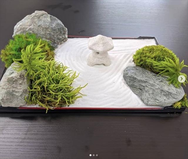 送料込み 苔プリ シッポゴケ 盆栽 苔プリ アラハゴケ 小分け プリザーブド 花材 コケ ジオラマ 花材 コケ ナチュラル 植物 の通販はau Pay マーケット ペンライトのポジティブエフェクト